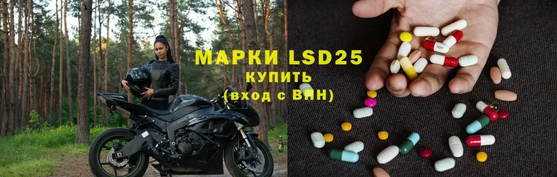 Лсд 25 экстази ecstasy  Каменногорск 