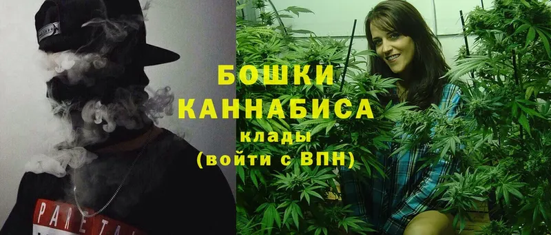 Бошки Шишки THC 21%  Каменногорск 